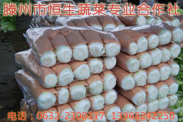 包红纸塑料袋包装后的大白菜 包红纸塑料袋包装后的大白菜