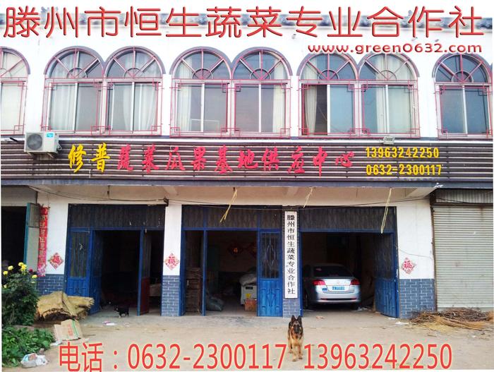 山东省滕州市恒生蔬菜专业合作社 山东省滕州市恒生蔬菜专业合作社